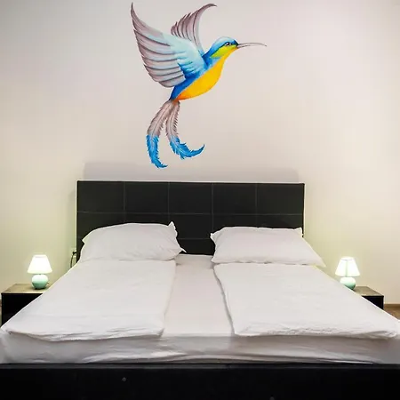 Kolibri - * Makó