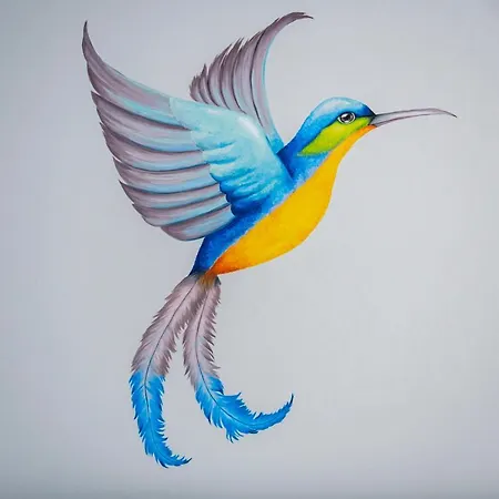 Kolibri - Apartment