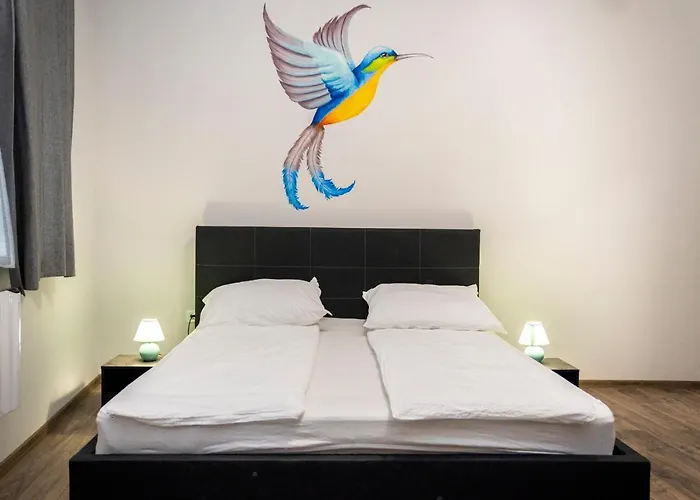 Kolibri - * Makó